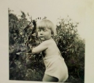 About Brian Alan Burhoe cam00207 2 300x265