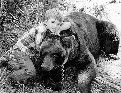 gentle ben TV premiere clint howard 1967