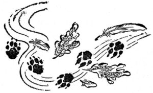 baby bear tracks - civilized bears