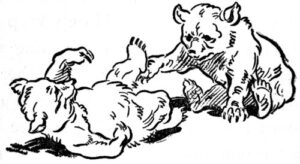 Bear drawing - bear cartoon - civilized bears playing