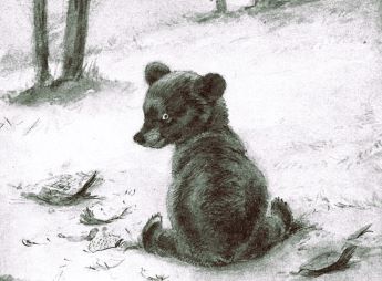 Civilized bear cub - Civilized Bears story