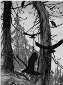 crows trees brian alan burhoe