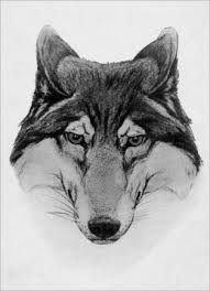 WOLFBLOOD Animal Story in Jack London Tradition – Wild Wolf, Half-Wild Husky & Wily Old Trapper wolf - Wolfblood Animal story in Jack London tradition