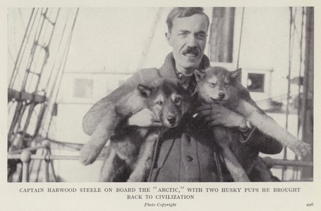 Captain Harwood Steele on board the "Arctic," with two husky pups he brought back to civilization (b/w photo)