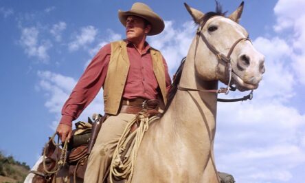 Matt Dillon Gunsmoke on horse