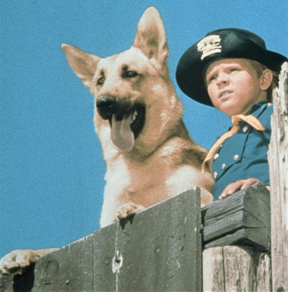 DOGS IN MOVIES: Rin-Tin-Tin – The Dog Who Saved Hollywood Rin-Tin_tin - Adventures of Rinty and Rusty