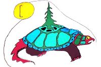 Turtle Island painting by Todd Jamieson