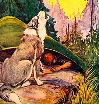 Author George Marsh sled dog Flash the Lead Dog - Howling Husky