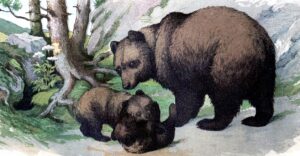 bears in mythology - mama bear and cubs