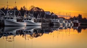 My Fave Atlantic Seafood Recipes: Lobster chowder – Atlantic Scallops au Gratin – Baked Stuffed Haddock north rustico wharf seafood