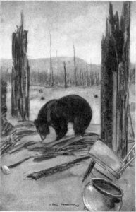 the bear that thought he was a dog charles g d roberts