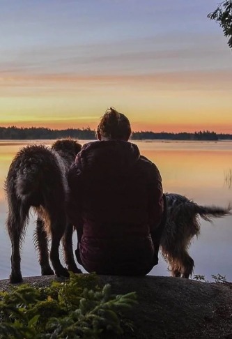 BEST NATIONAL PARKS for Forest Hiking Worldwide