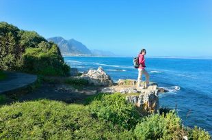 7 BEST NATIONAL PARKS for Forest Hiking Worldwide 7 BEST NATIONAL PARKS for Forest Hiking Worldwide - Otter Trail South Africa