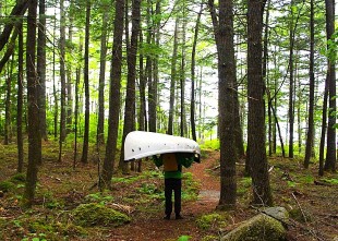 BEST NATIONAL PARKS for Forest Hiking Worldwide BEST NATIONAL PARKS for Forest Hiking Worldwide