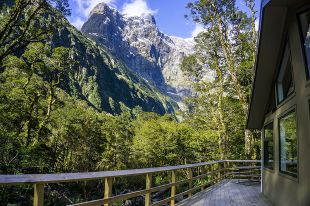 BEST NATIONAL PARKS for Forest Hiking Worldwide BEST NATIONAL PARKS for Forest Hiking Worldwide