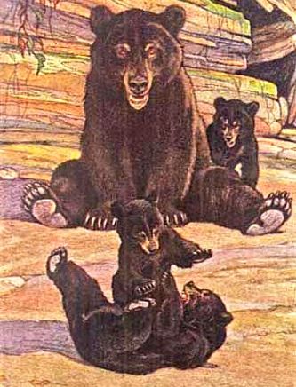 Top 10 Sites for Discovering Animal Fiction, Nature Writing & Related Literature