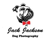 Jack Jackson Dog Photography Dogs in flight