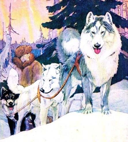 Flash the Lead Dog written by George Marsh